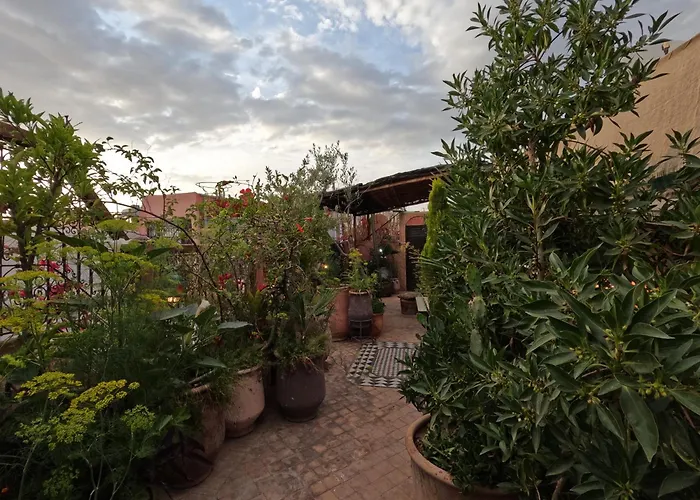 Dog friendly hotels Maizie