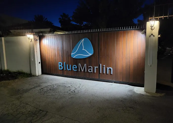  Blue Marlin