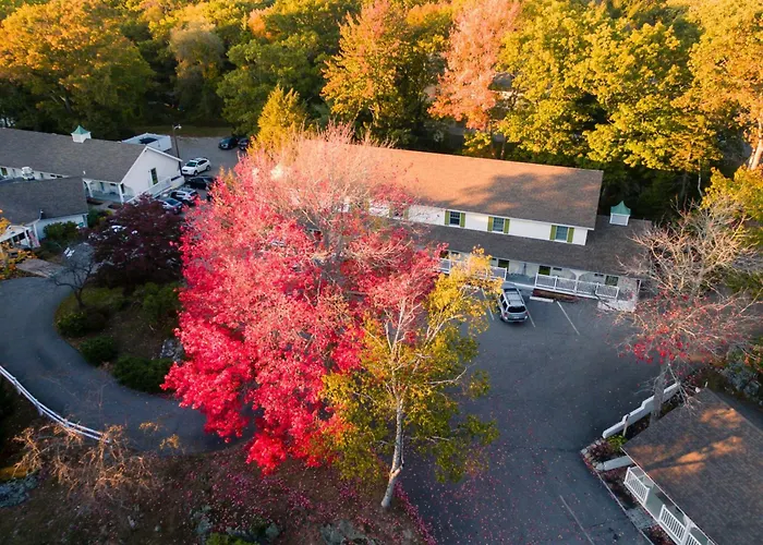 Lodge On The Cove