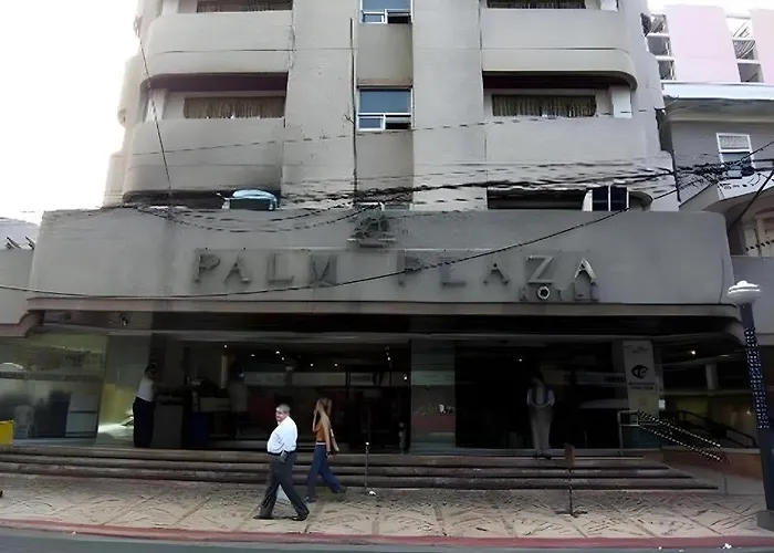 Palm
