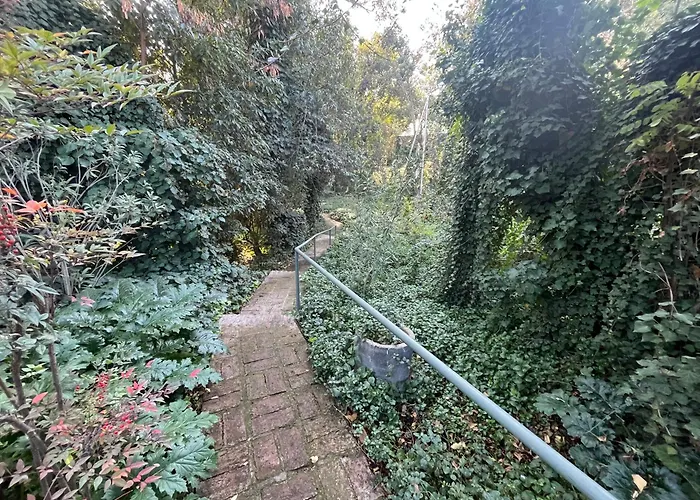 Acacias De Vitacura