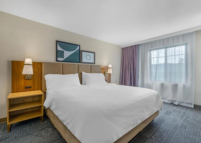 Dog friendly hotels Staybridge Suites East Stroudsburg - Poconos By Ihg