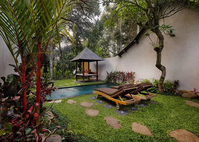  Ubud Padi s