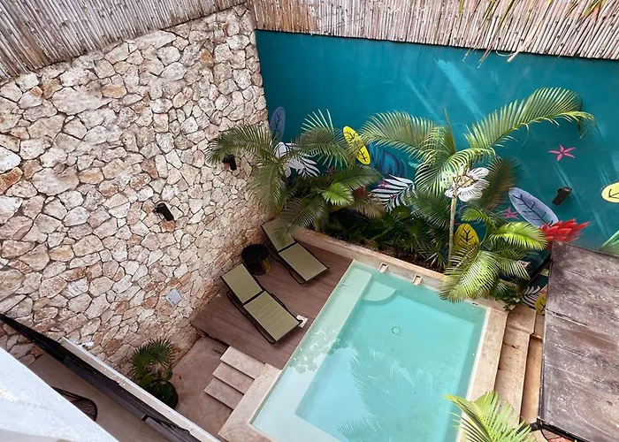 Dog friendly hotels Latino Boutique