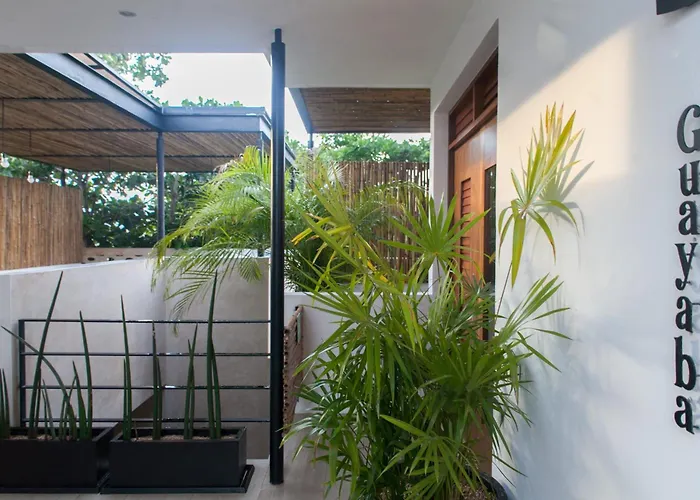 Dog friendly hotels Latino Boutique