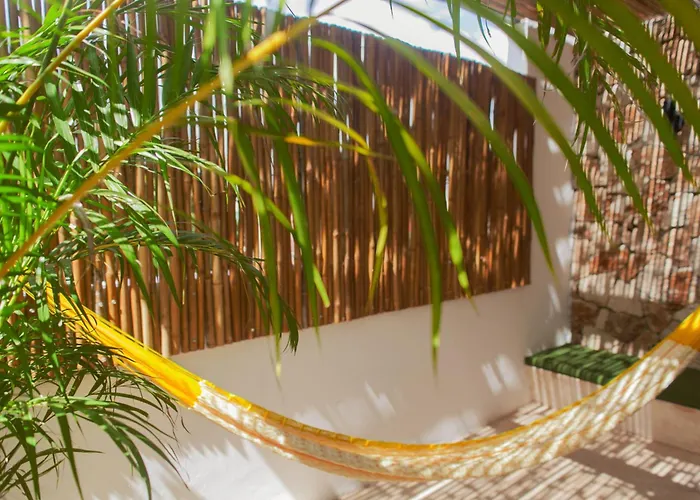 Dog friendly hotels Latino Boutique