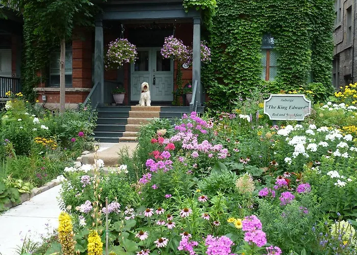 Auberge King Edward Bed And Breakfast