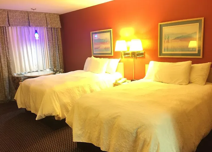 Pet Friendly hotel: Americas Best Value Inn - Garden City