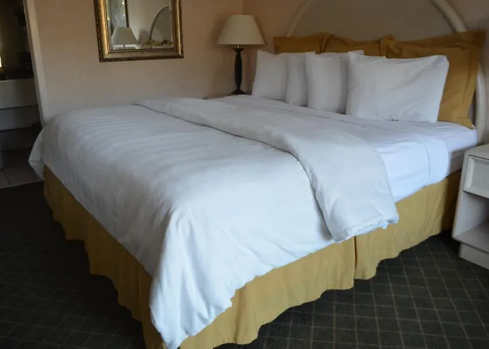 Motels Chapel Hill University Inn