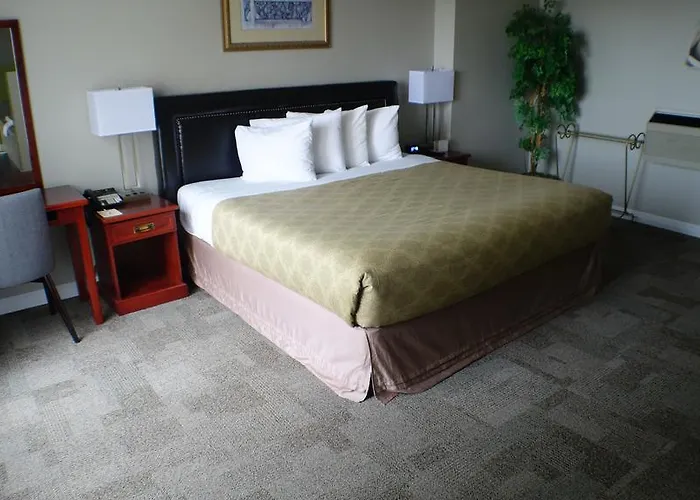 Luxury hotel only: Peninsula Inn