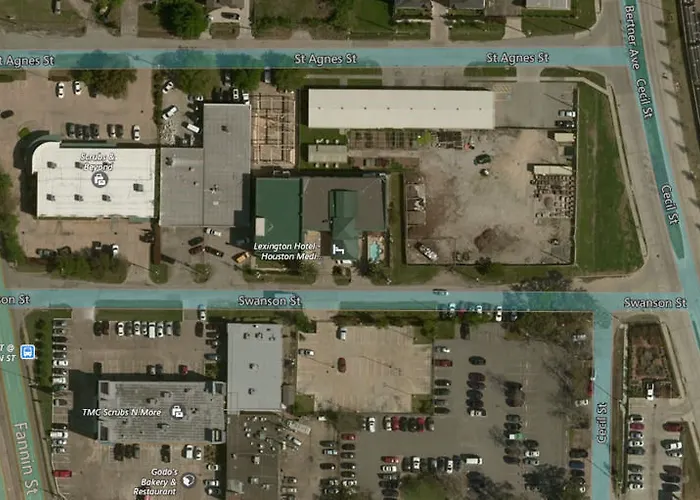 Boutique hotel only: Lexington Hotel Houston Medical Center