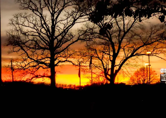 Pet Friendly hotel: Branson King Resort & Suites