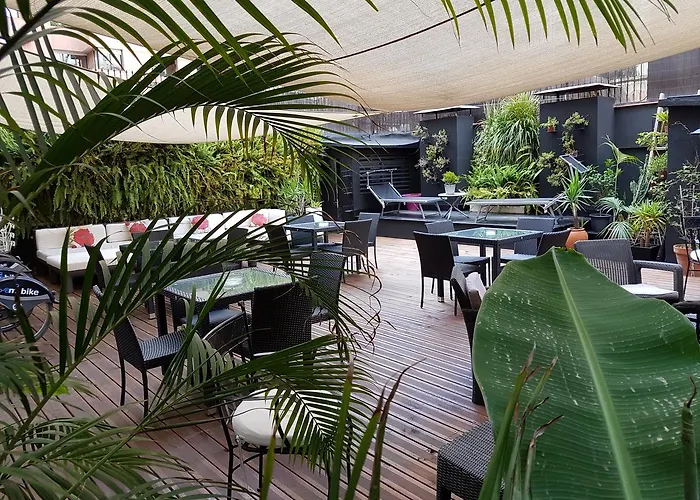 Animaux admis Casa Kessler Barcelona