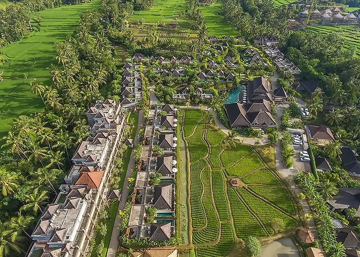 Hotel: Visesa Ubud Resort