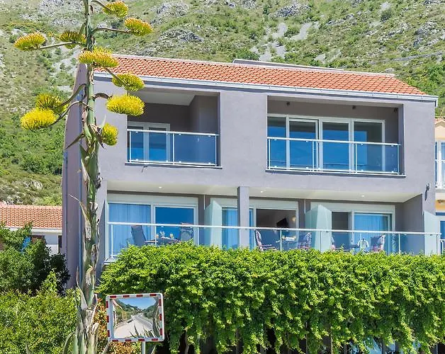 Central hotel: Boutique Flamingo B&B