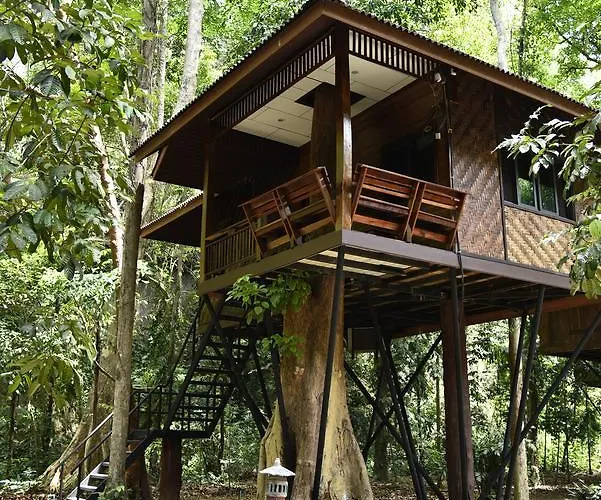 Khao Sok Nature