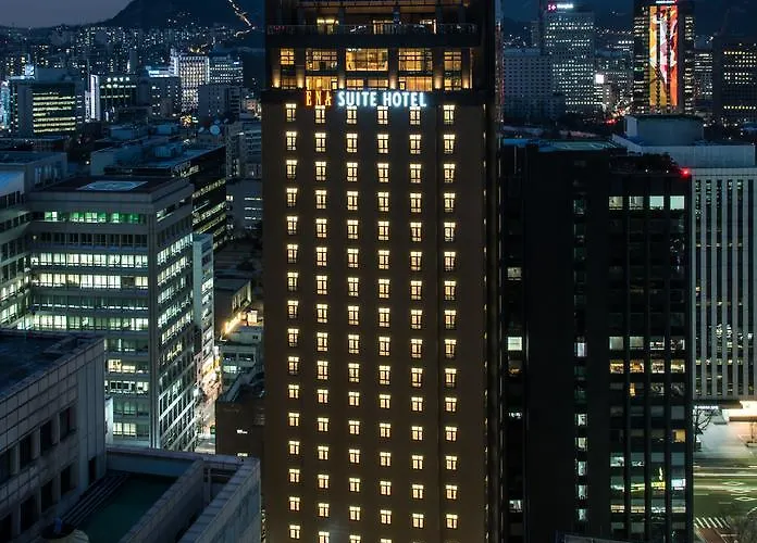 Central hotel: Ena Suite Hotel Namdaemun