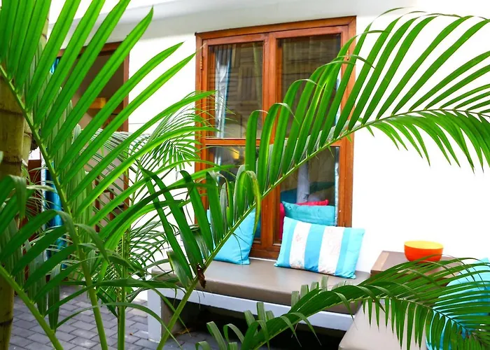 Hôtel accueillant les animaux: Blue Lime Hotel