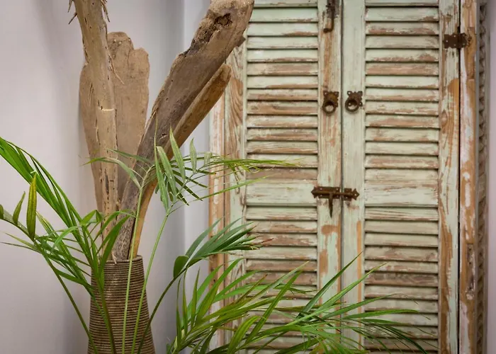 Pet Friendly hotel: Riad El Maktoub