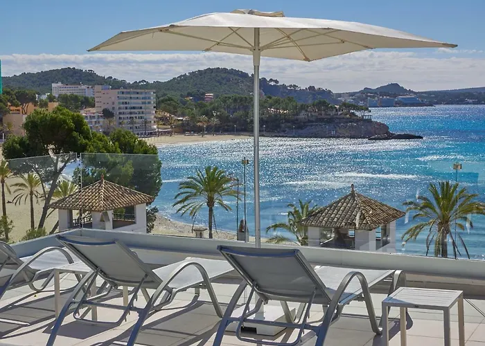 Hotel que admite mascotas: Paguera Treff Boutique Hotel
