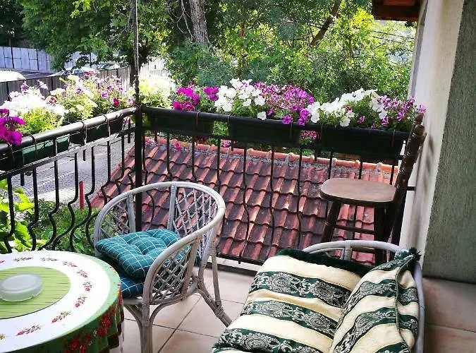 Hotel de lujo: Hotel Paradise