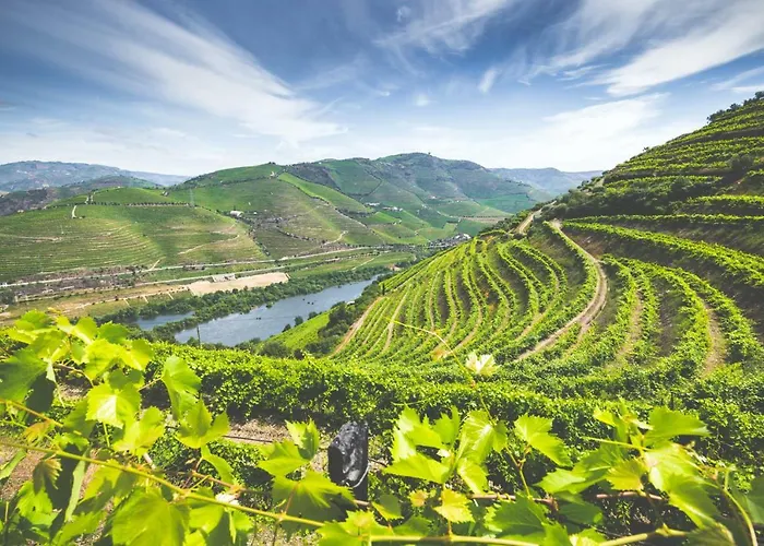  Quinta Do Valdalágea