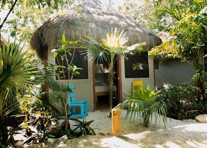 Joy Tulum - Adults Only.